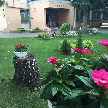 Prenociste Gazela