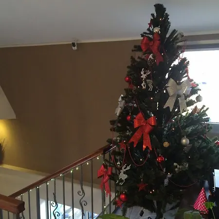 Prenociste Gazela 4* 皮罗特